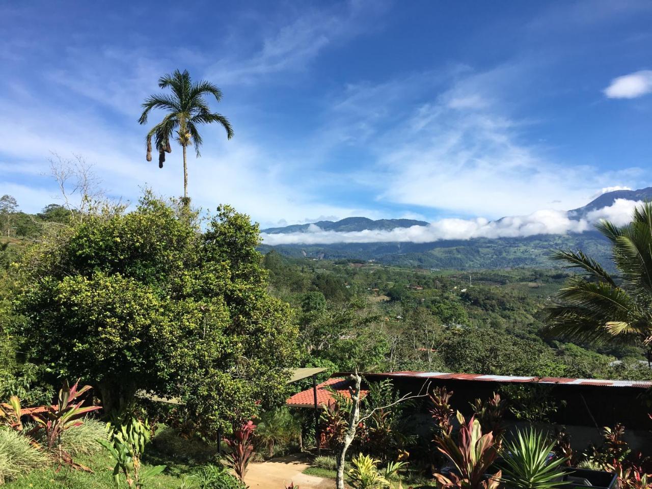Green Mountain And Lodge Turrialba Exteriér fotografie