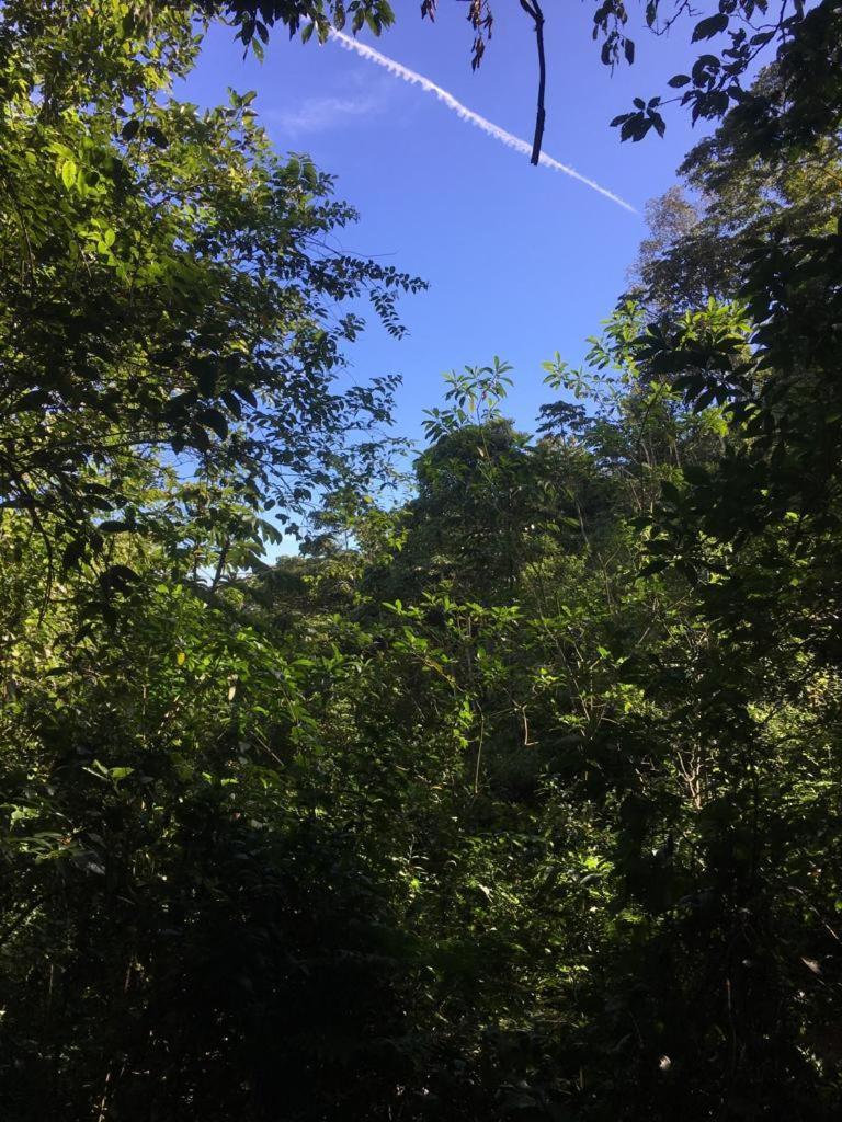 Green Mountain And Lodge Turrialba Exteriér fotografie